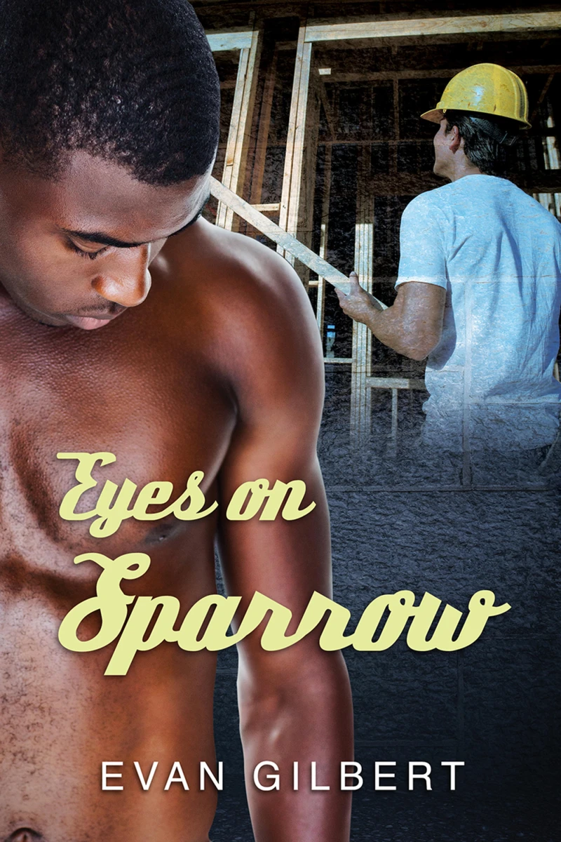 Portada: Eyes on Sparrow