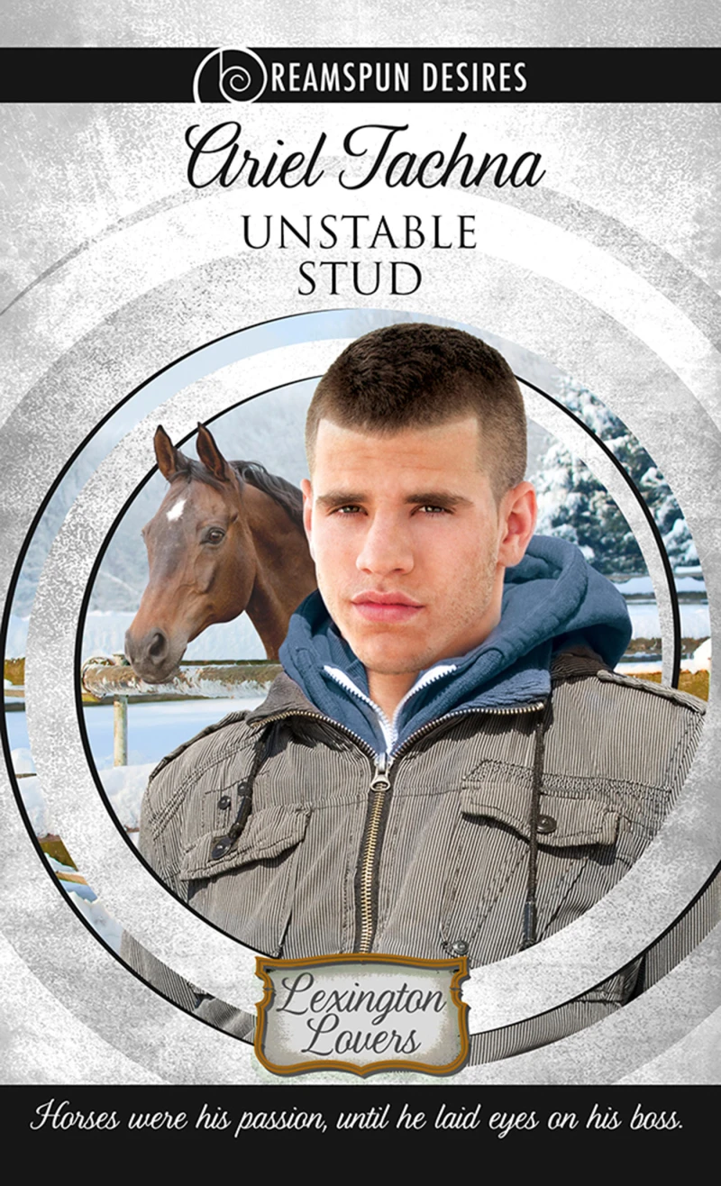 Portada: Unstable Stud
