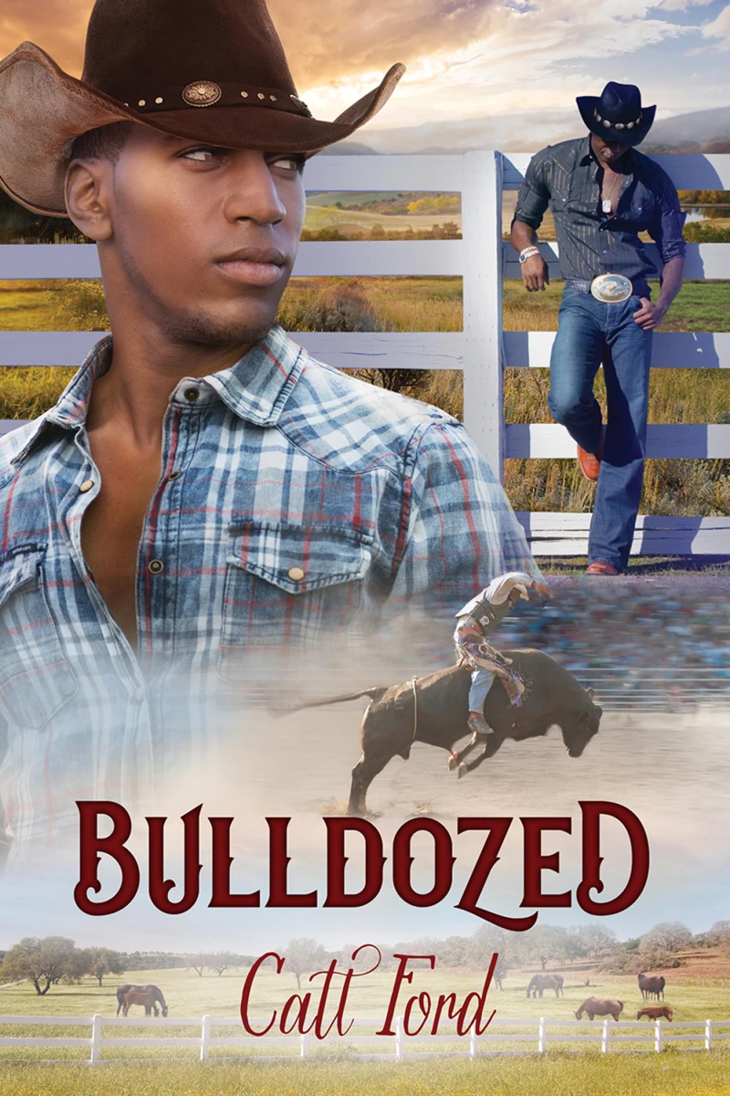 Portada: Bulldozed
