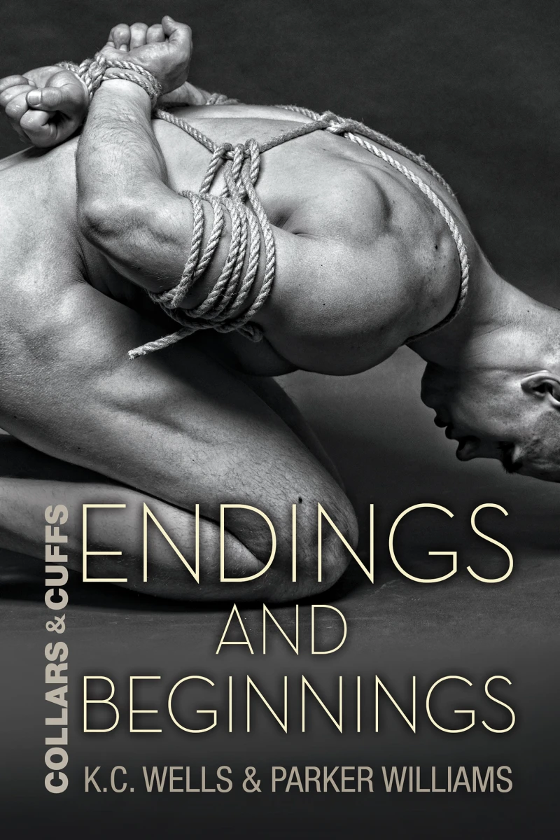 Portada: Endings and Beginnings