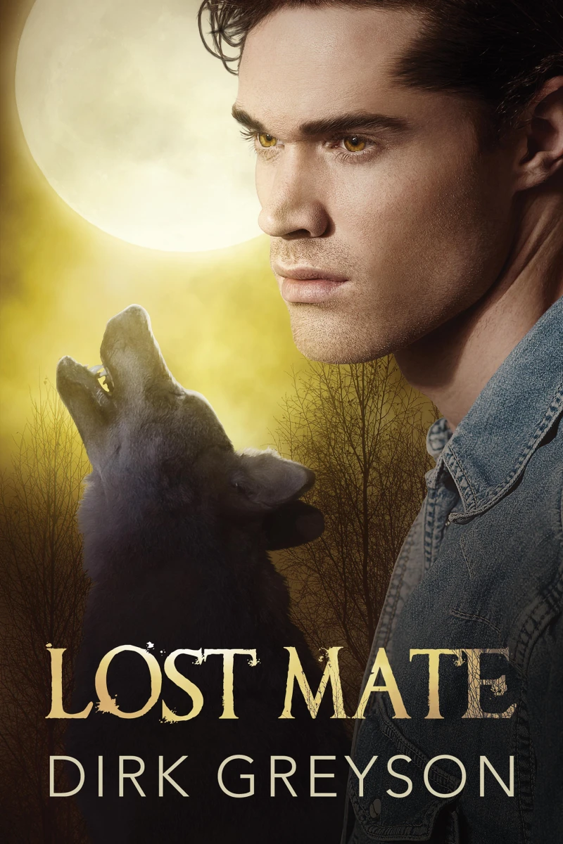 Portada: Lost Mate