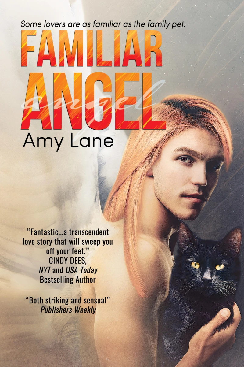 Portada: Familiar Angel