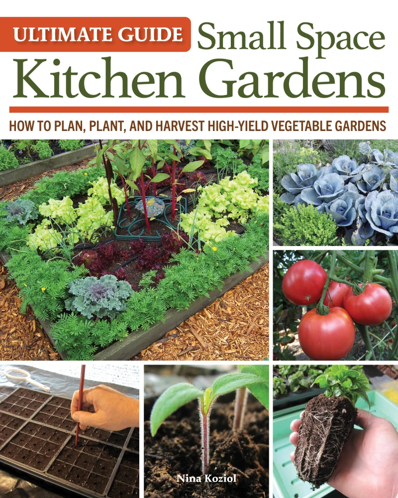 Portada: Ultimate Guide: Small Space Kitchen Gardens