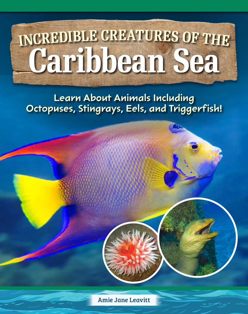 Portada: Incredible Creatures of the Caribbean Sea