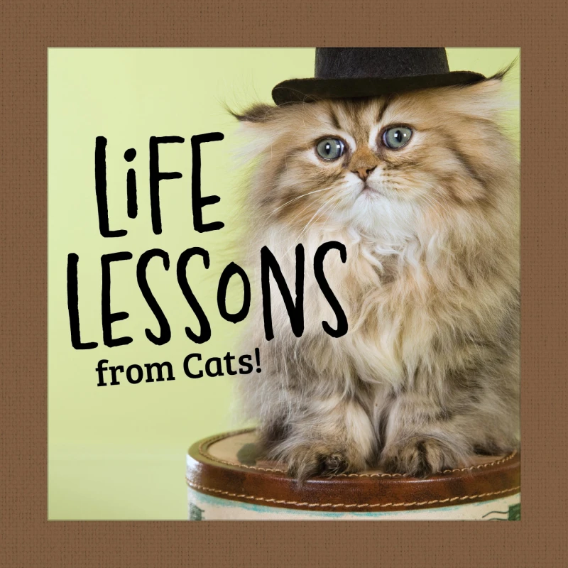 Portada: Life Lessons from Cats!