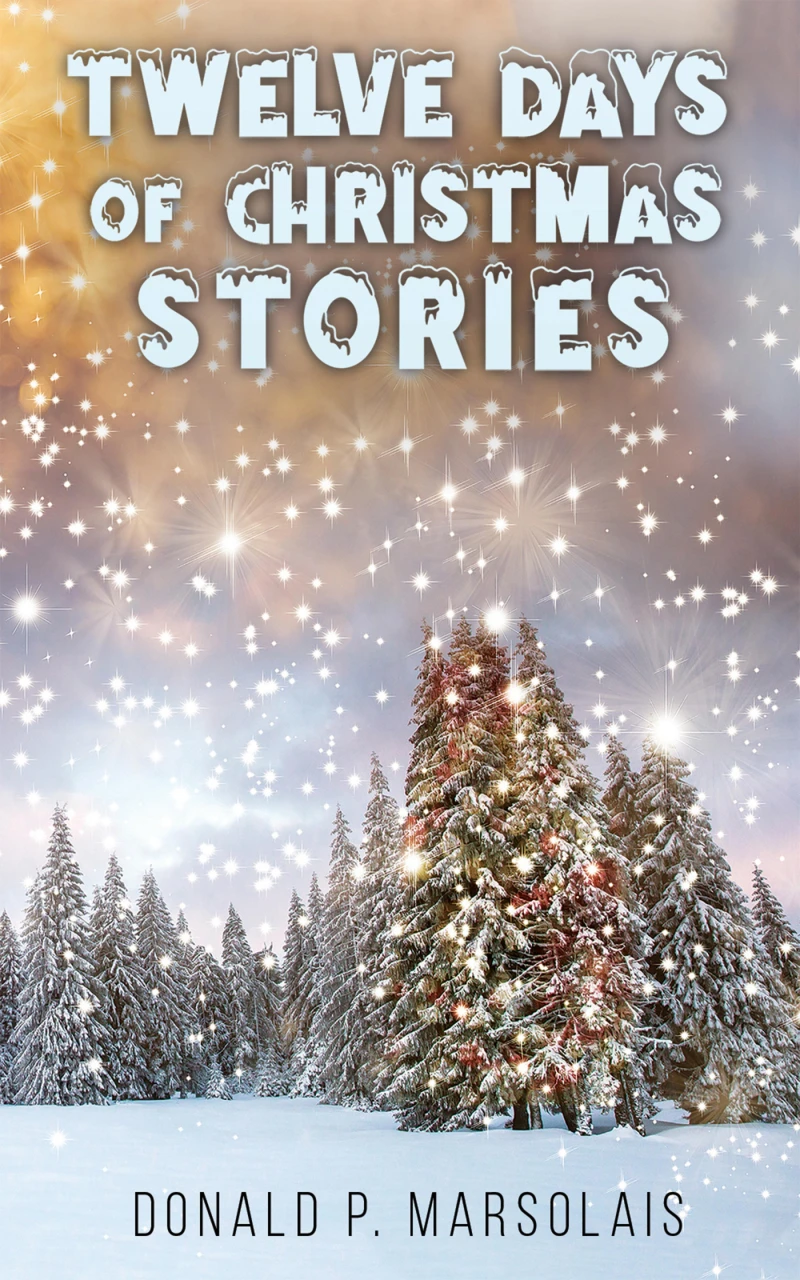 Portada: Twelve Days of Christmas Stories