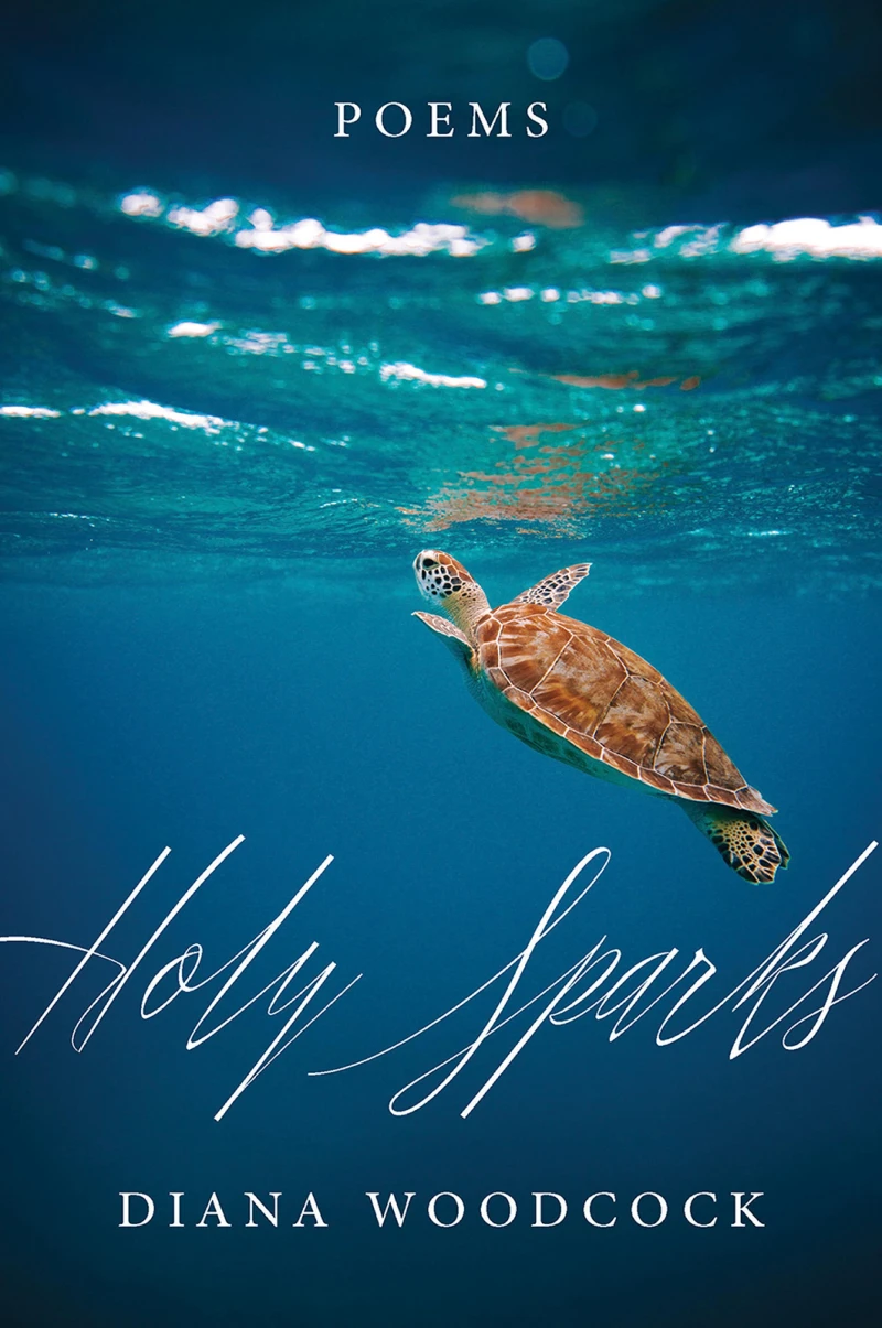 Portada: Holy Sparks