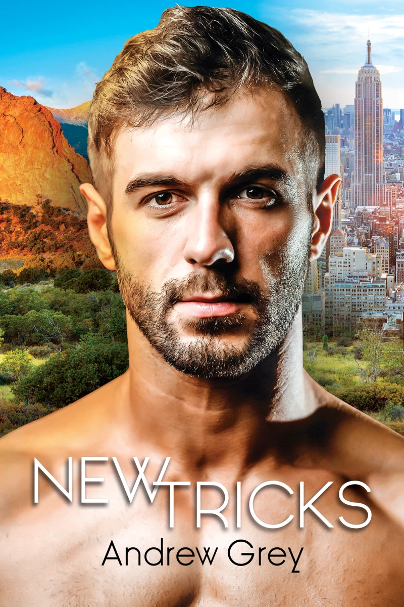Portada: New Tricks