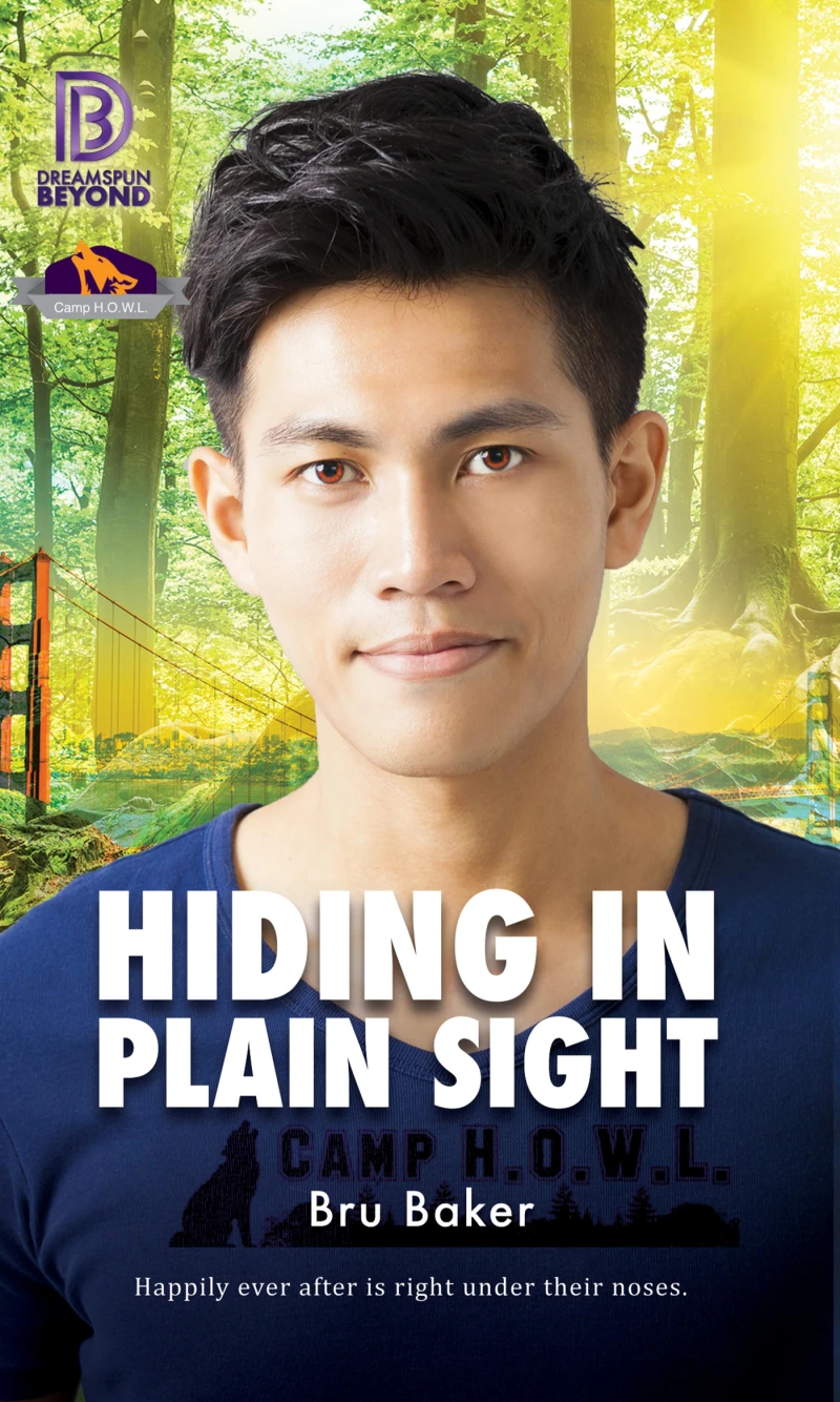 Portada: Hiding In Plain Sight