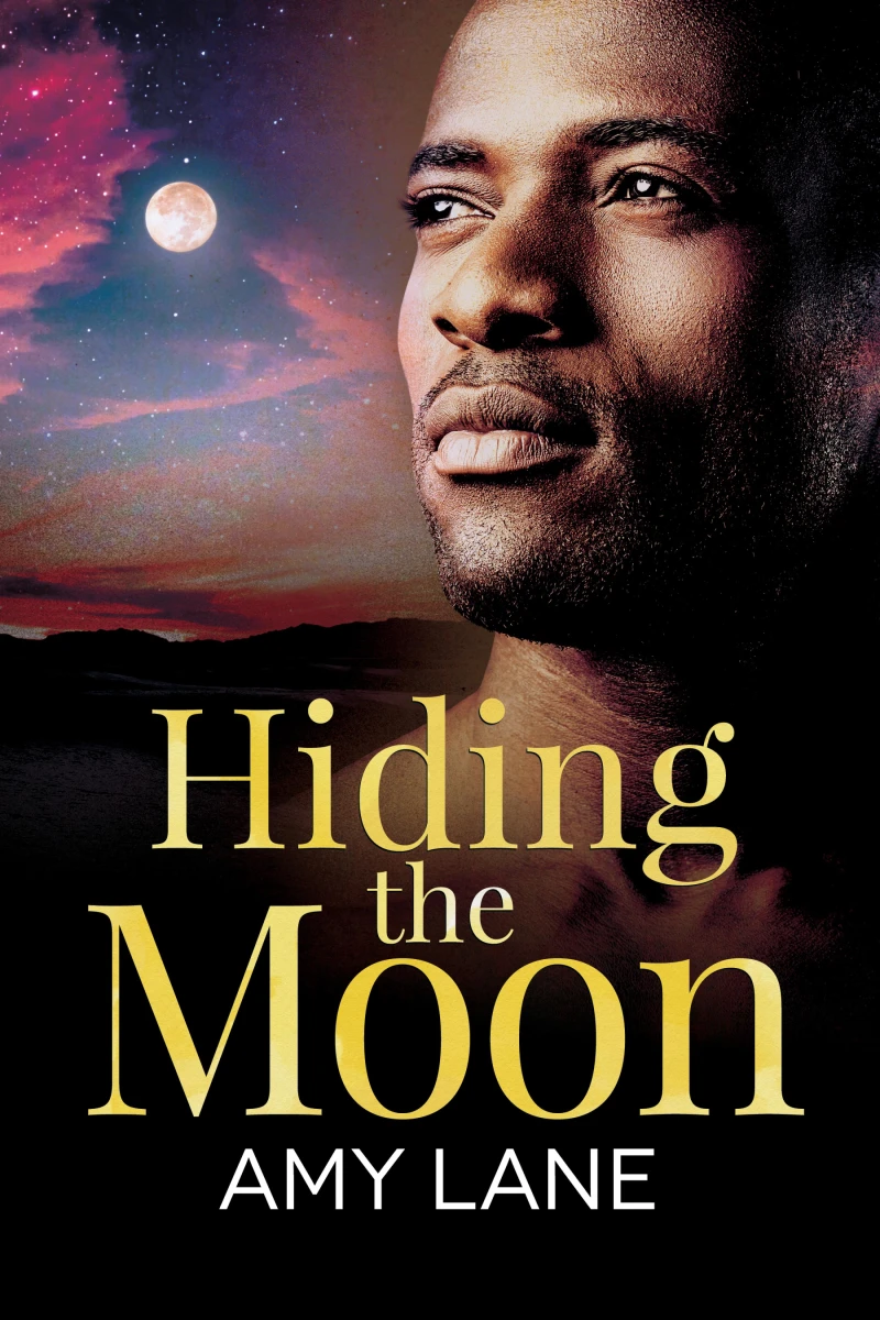 Portada: Hiding the Moon