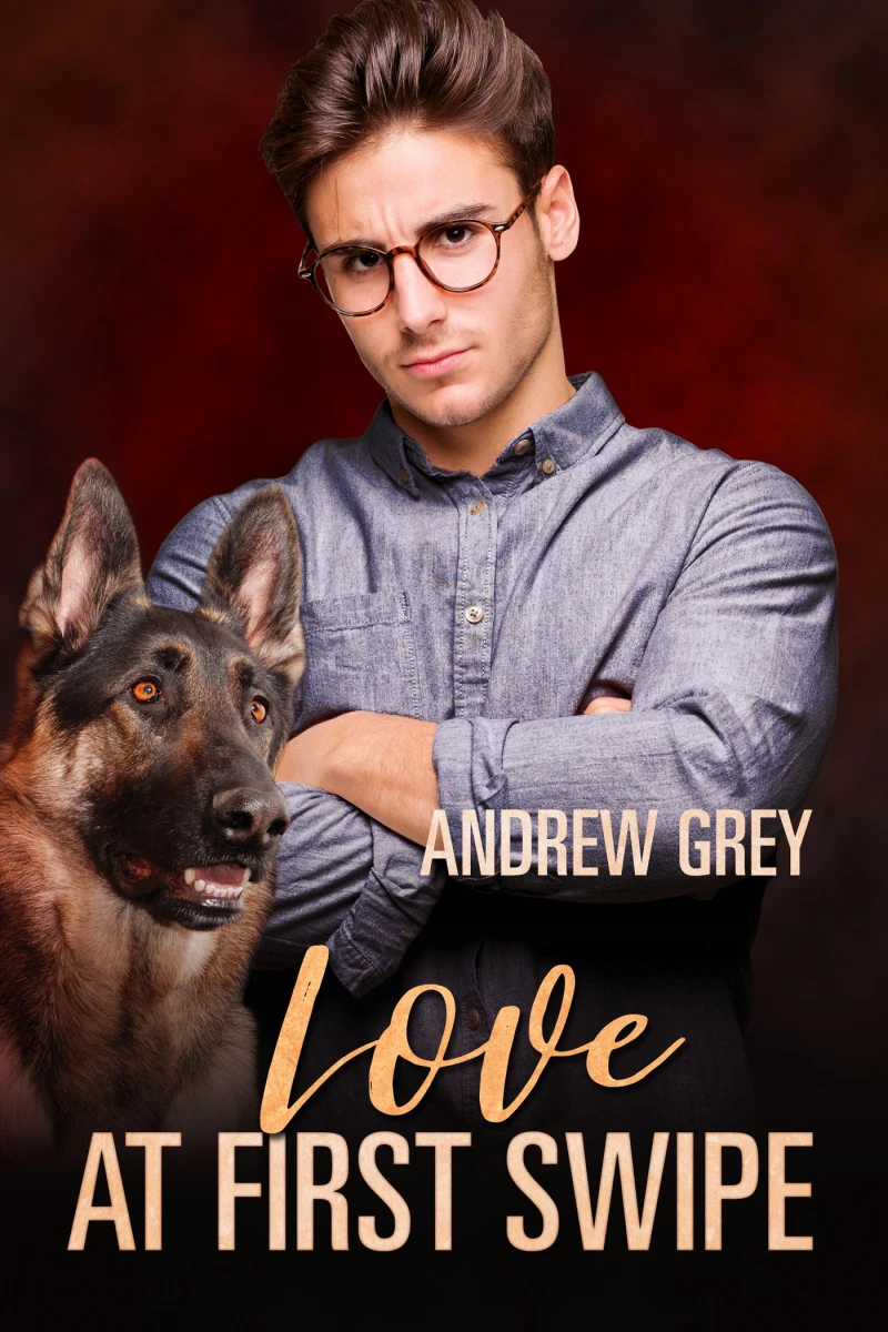 Portada: Love at First Swipe