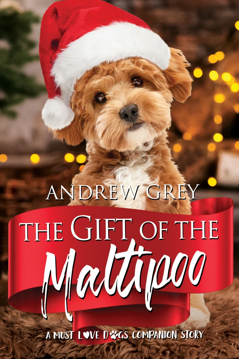 Portada: The Gift of the Maltipoo