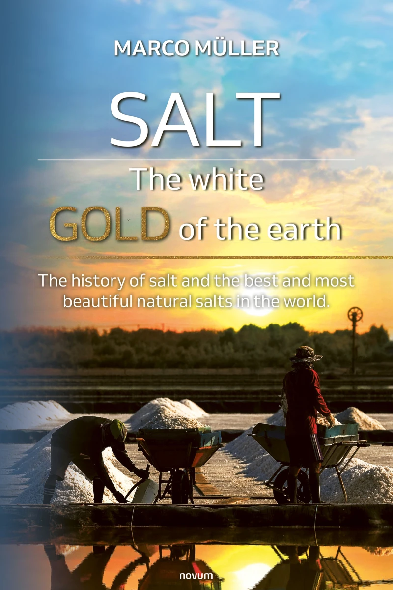 Portada: Salt - The white gold of the earth
