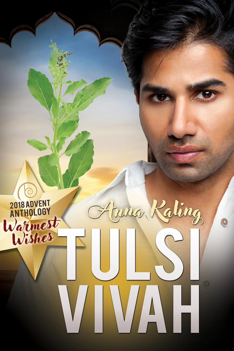 Portada: Tulsi Vivah