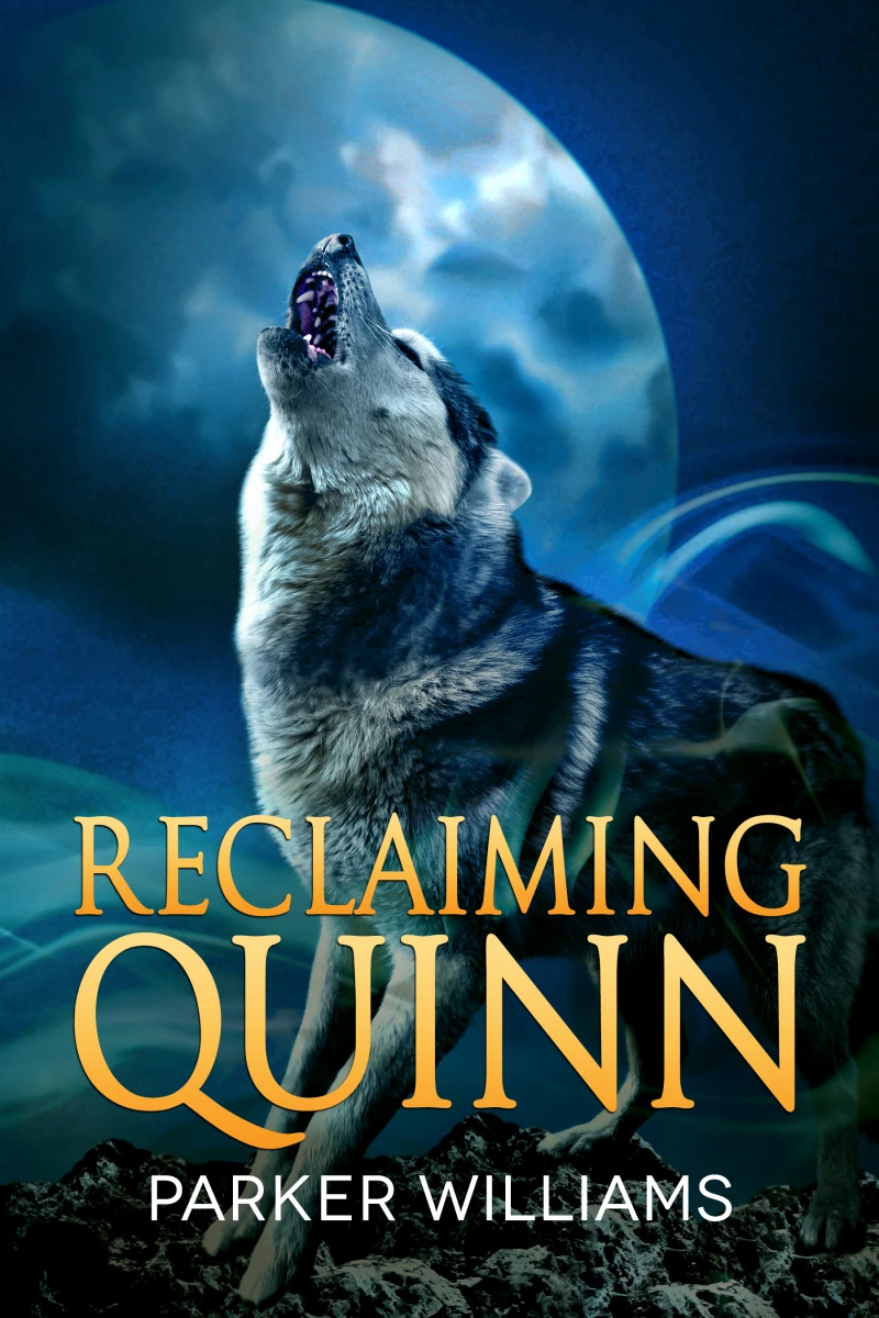 Portada: Reclaiming Quinn