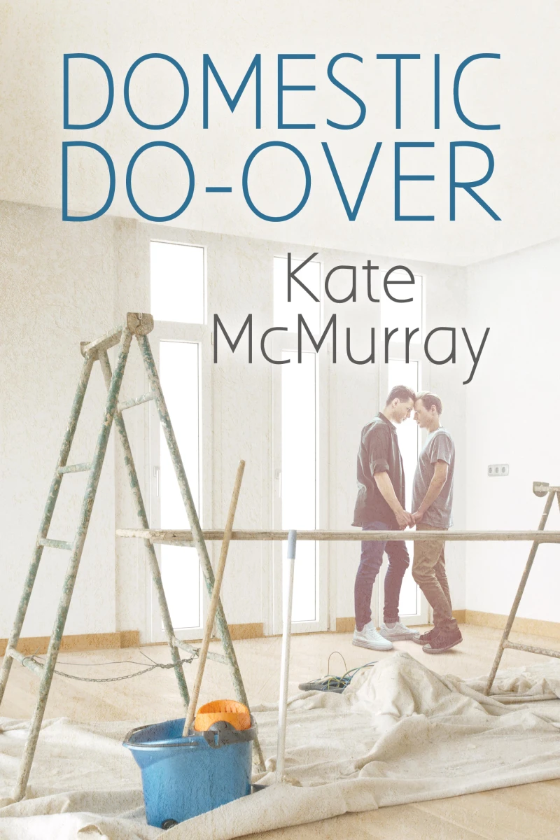 Portada: Domestic Do-over