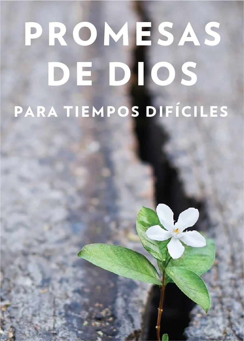 Portada: Promesas de Dios para tiempos difíciles