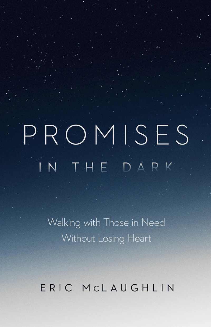Portada: Promises in the Dark