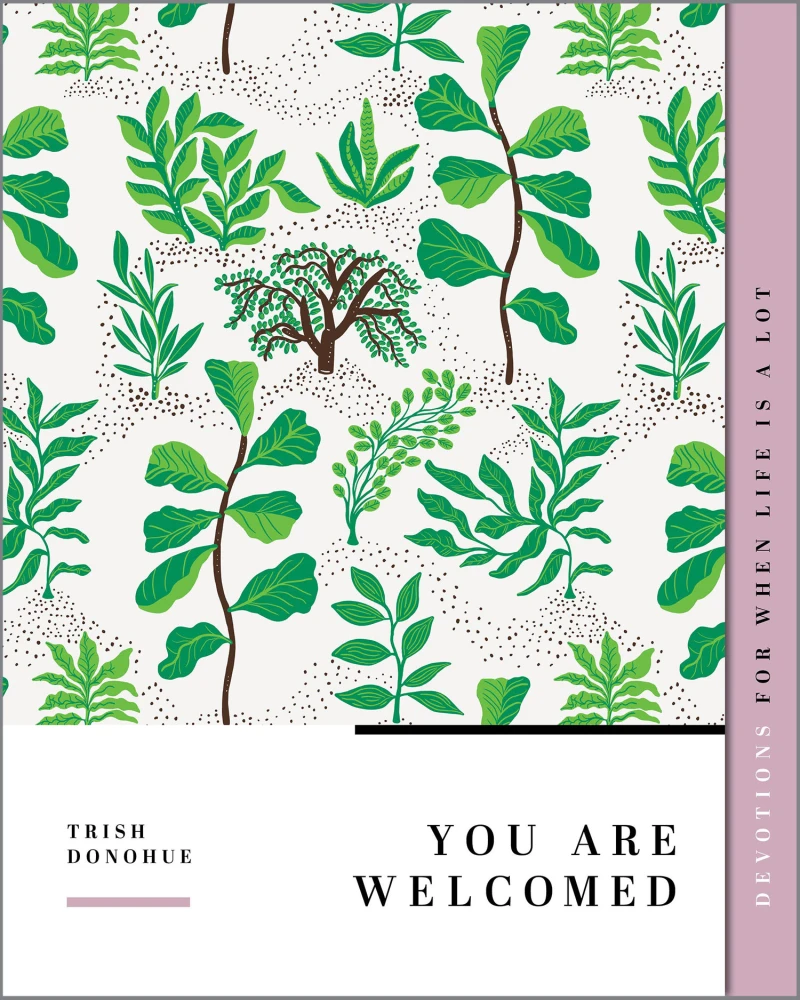 Portada: You Are Welcomed