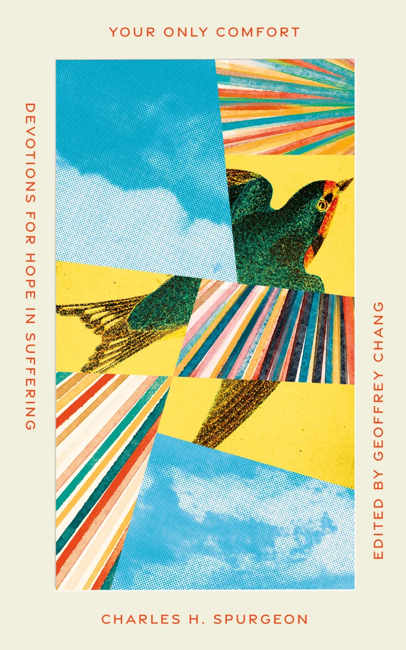 Portada: Your Only Comfort