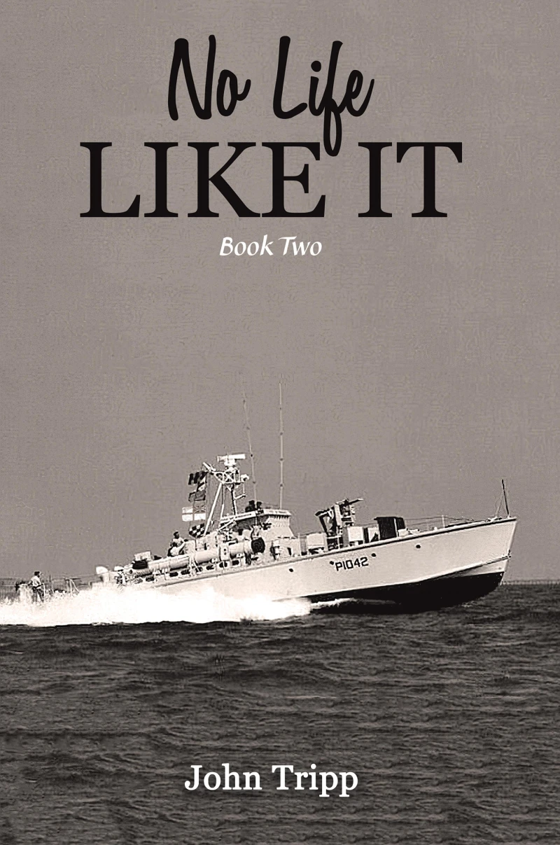 Portada: No Life Like It: Book Two
