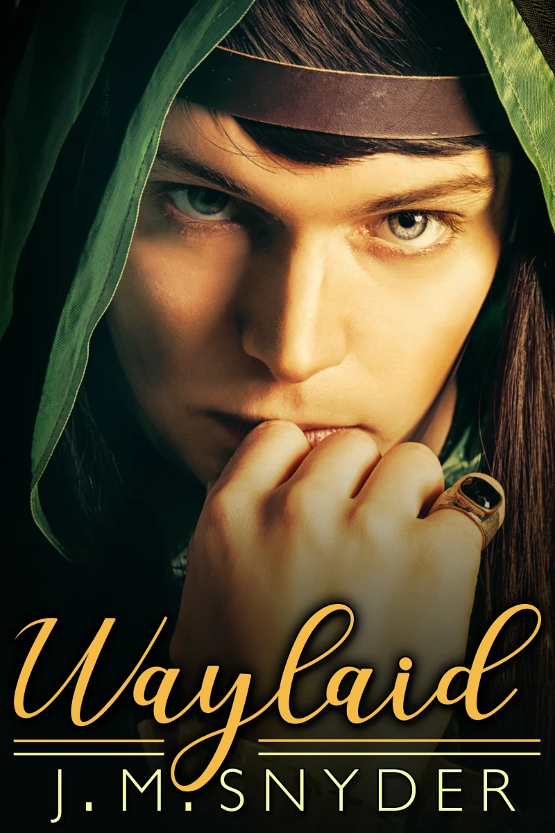 Portada: Waylaid