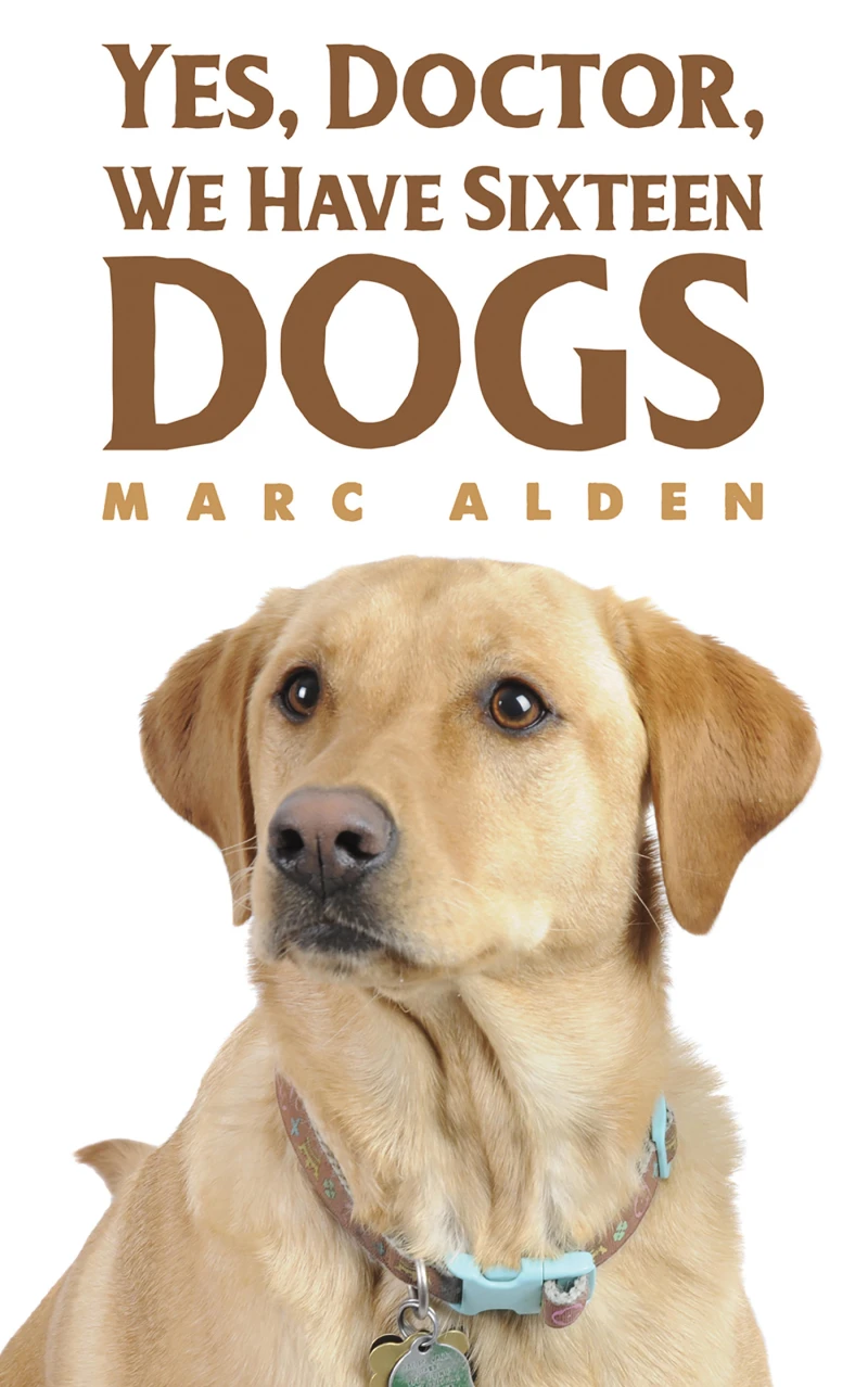 Portada: Yes, Doctor, We Have Sixteen Dogs