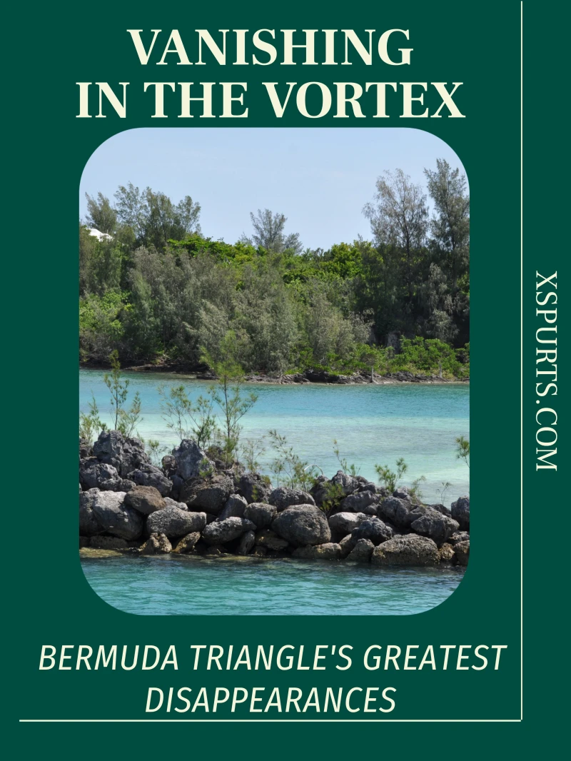 Portada: Vanishing in the Vortex