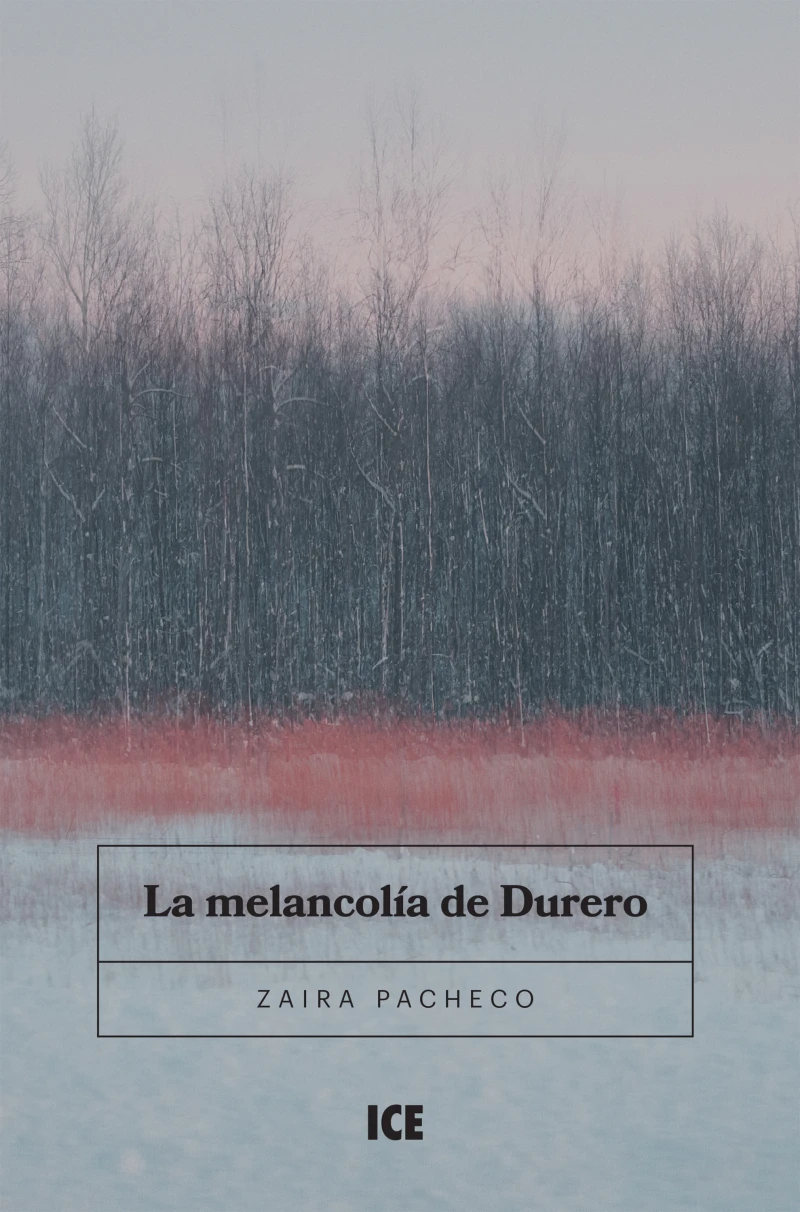 Portada: La Melancolía de Durero