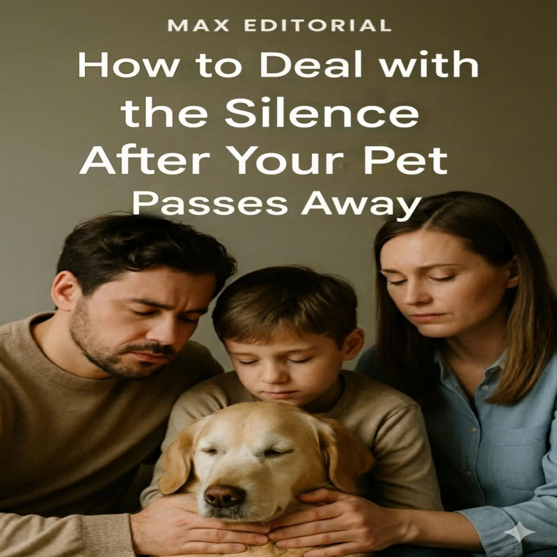 Portada: How to Deal with the Silence After Your Pet Passes Away