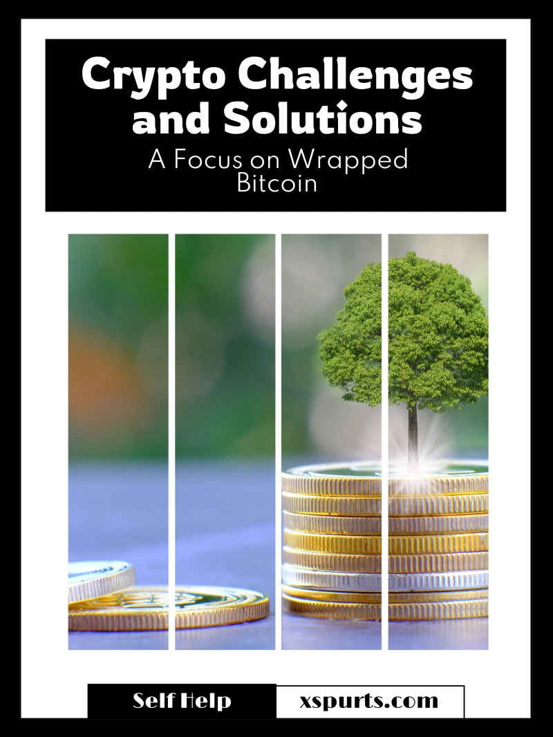 Portada: Crypto Challenges and Solutions