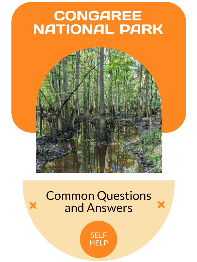 Portada: Congaree National Park
