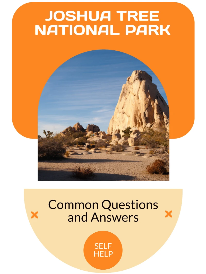 Portada: Joshua Tree National Park