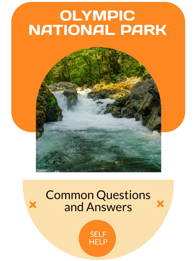 Portada: Olympic National Park