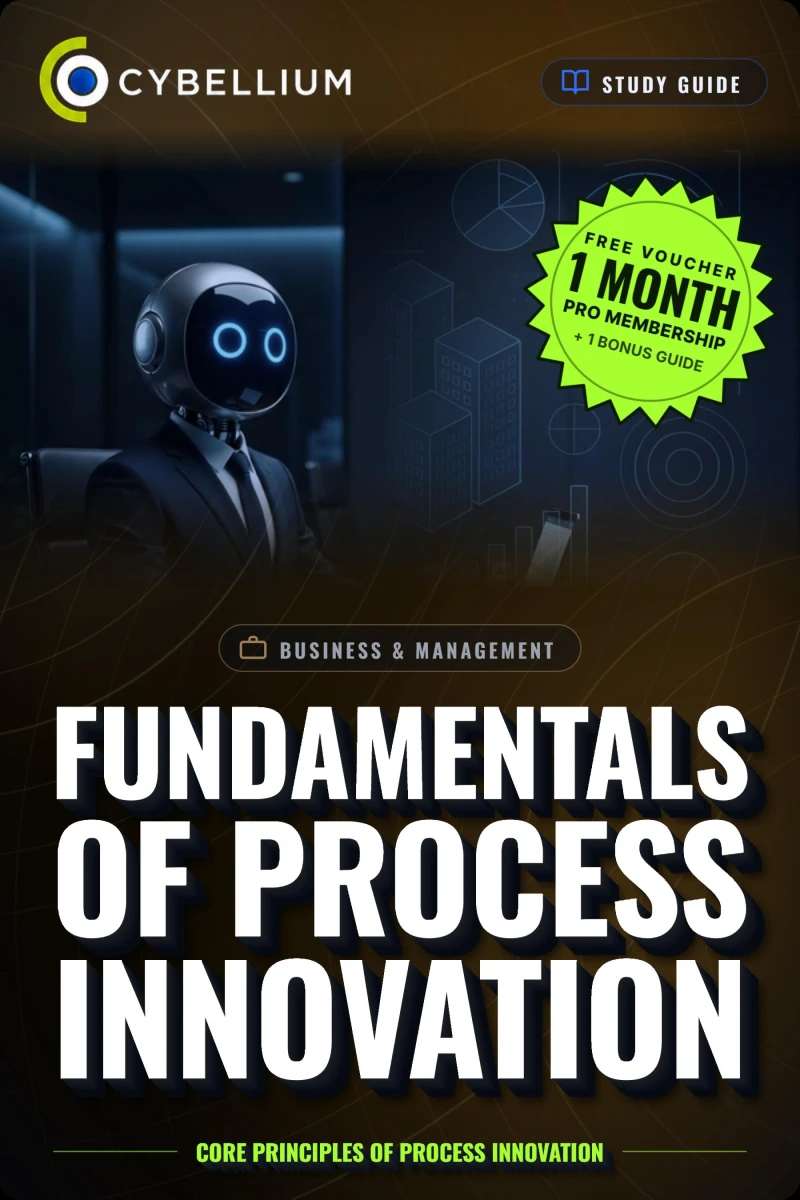 Portada: The Fundamentals of Process Innovation