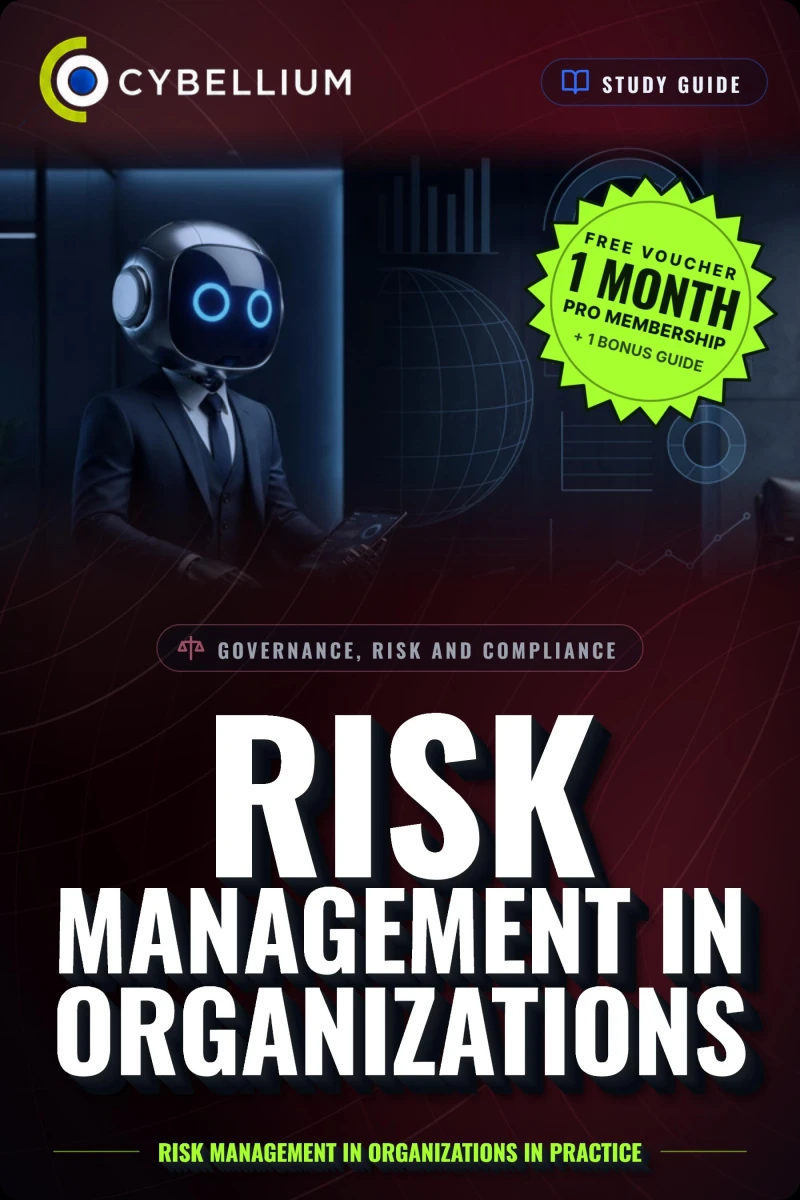 Portada: Risk Management in Organizations