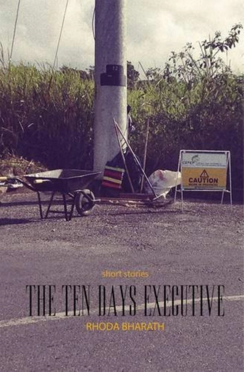 Portada: The Ten Day's Executive and Other Stories