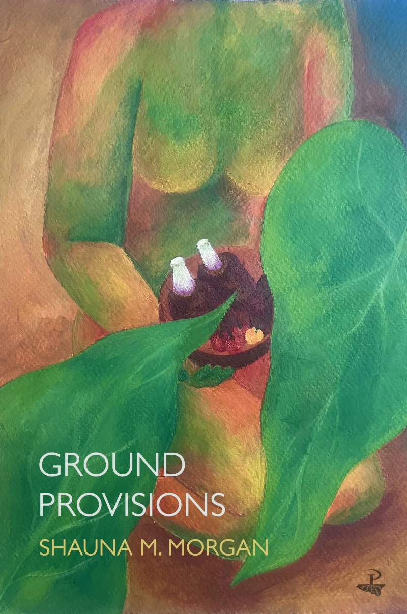 Portada: Ground Provisions