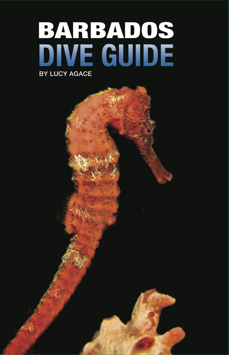 Portada: Barbados Dive Guide