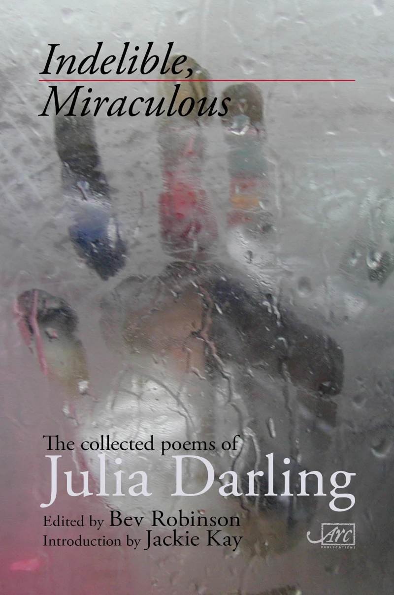 Portada: Indelible Miraculous