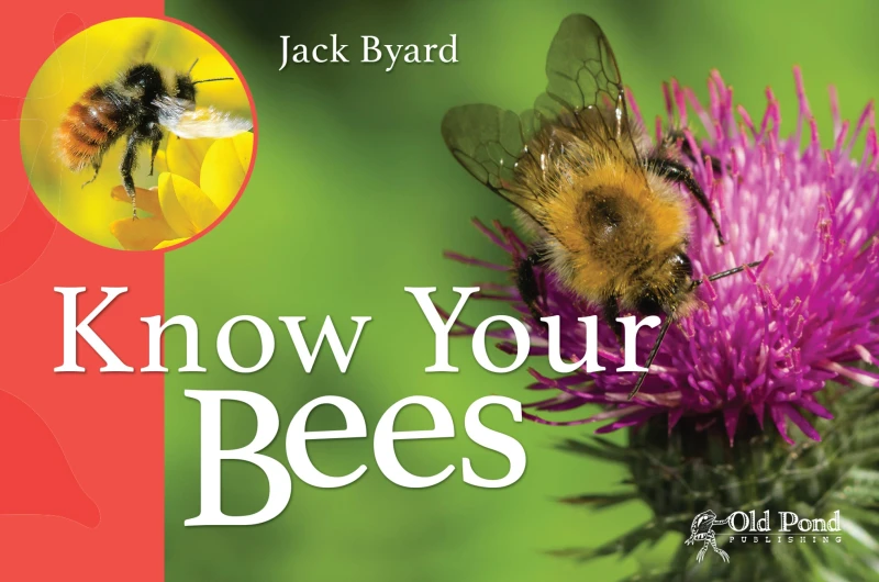 Portada: Know Your Bees