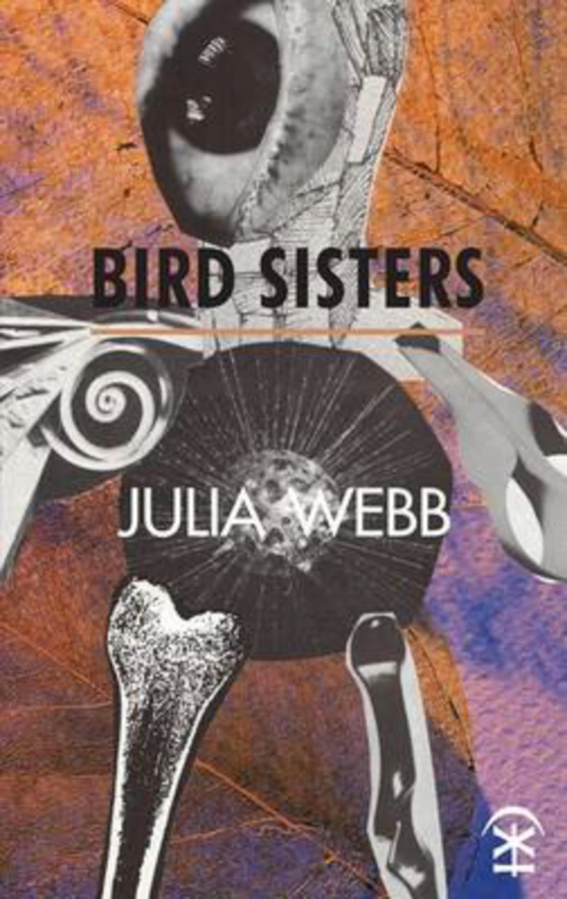 Portada: Bird Sisters