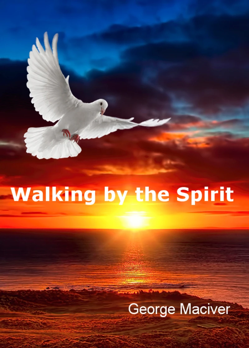 Portada: Walking by the Spirit