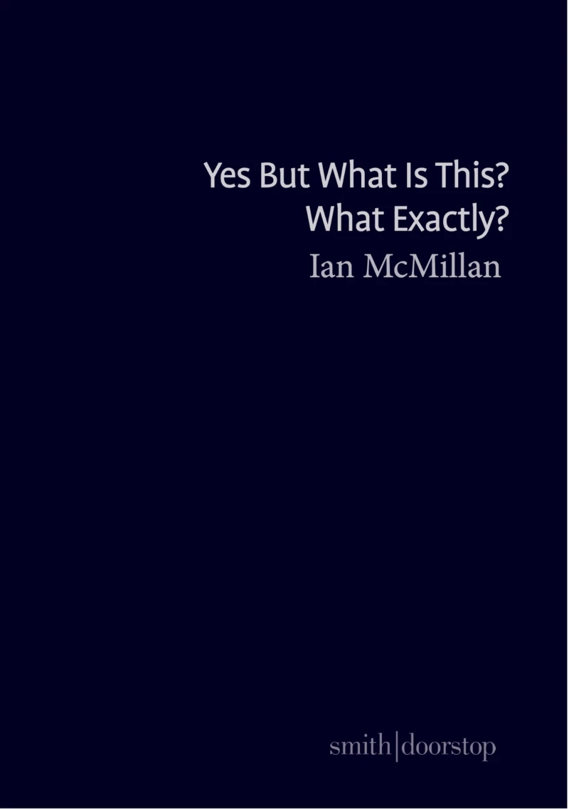 Portada: Yes But What Is This? What Exactly?
