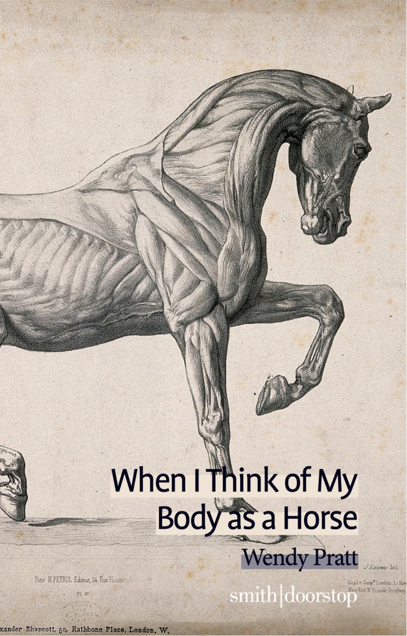 Portada: When I Think of My Body as a Horse