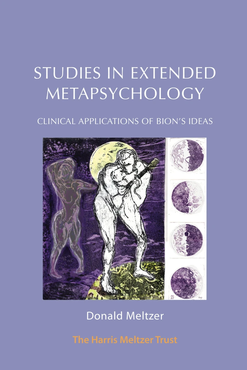 Portada: Studies in Extended Metapsychology