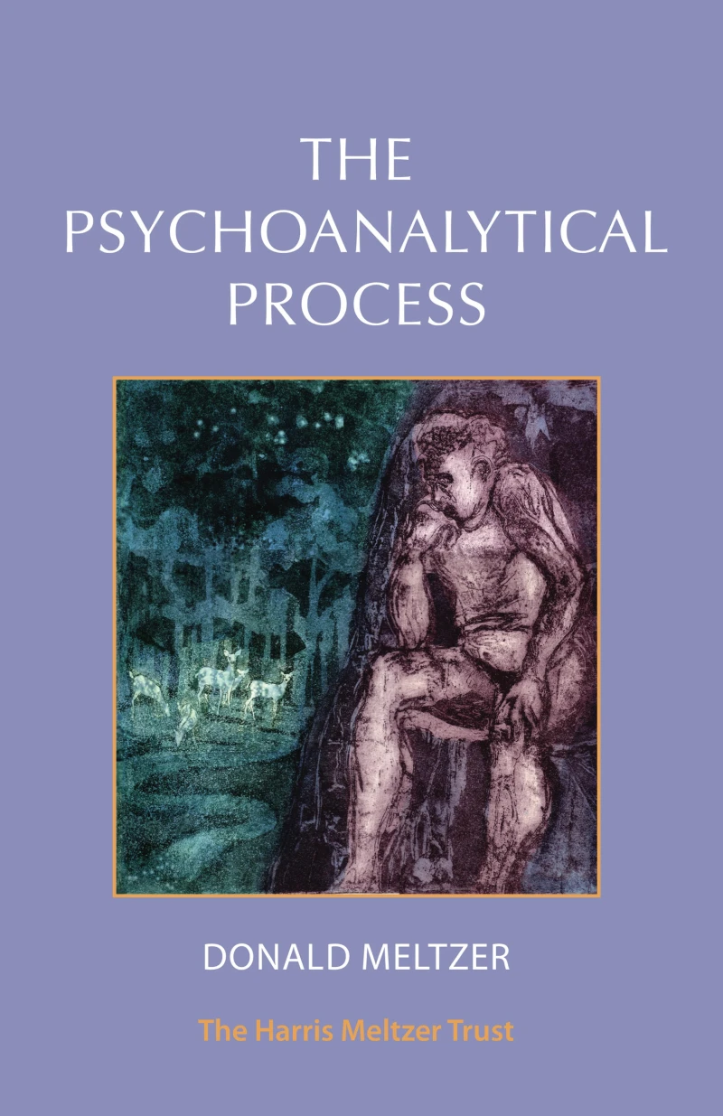 Portada: The Psychoanalytical Process