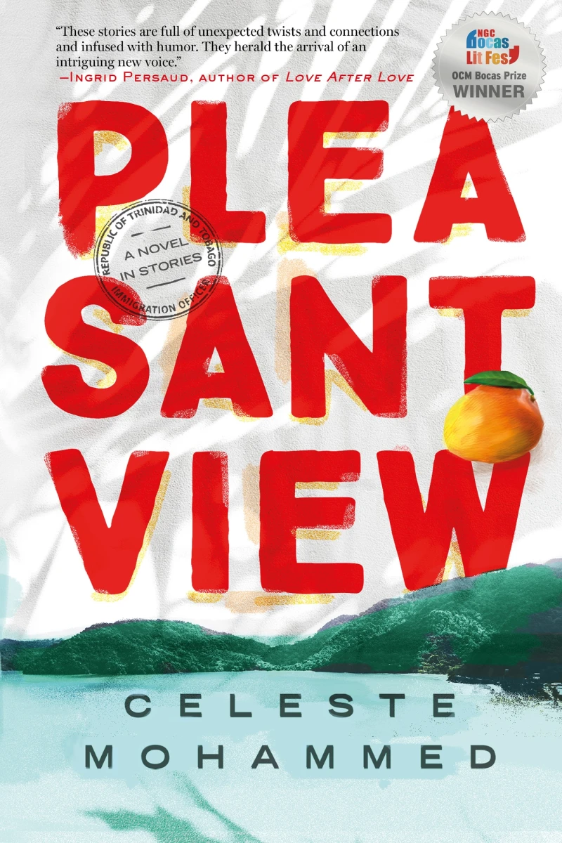 Portada: Pleasantview