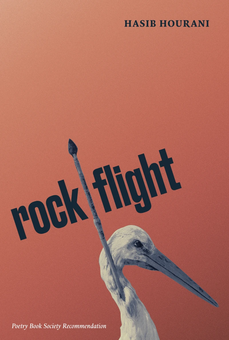 Portada: rock flight