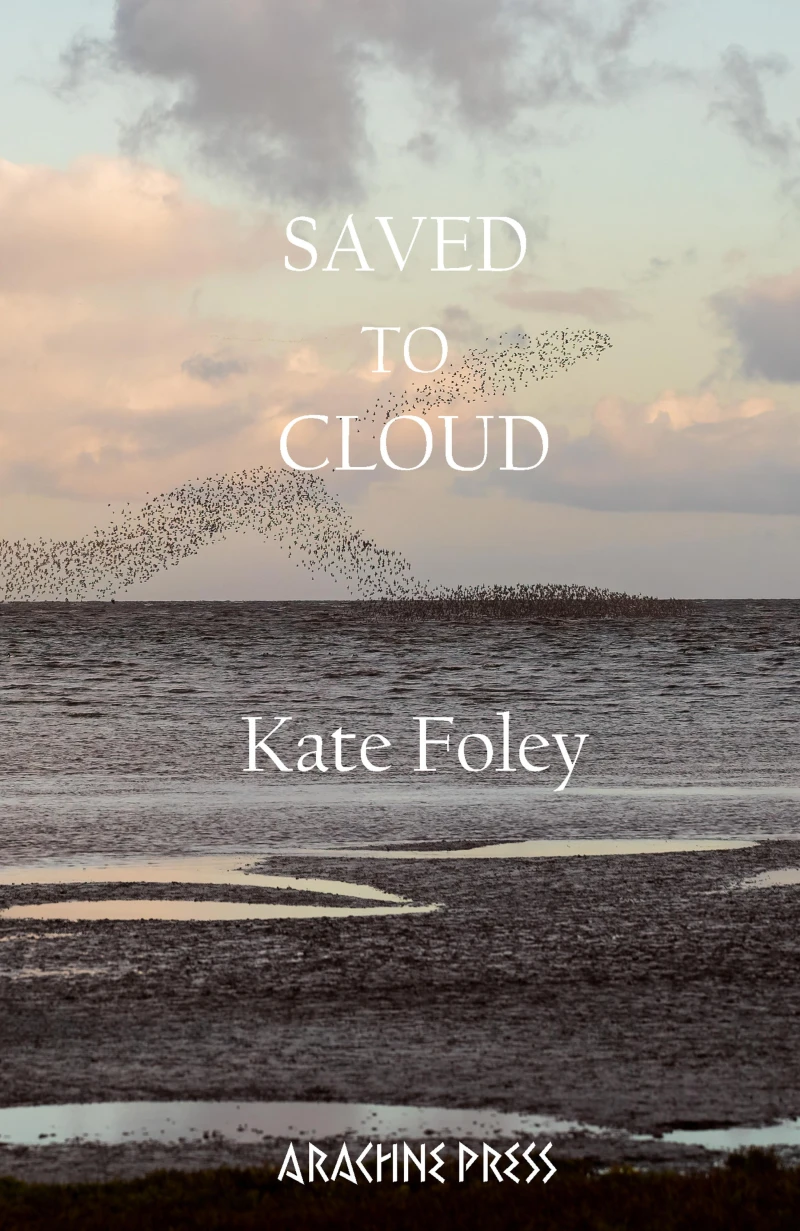 Portada: Saved to Cloud